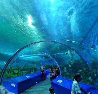 Aquatic Gallery Science City