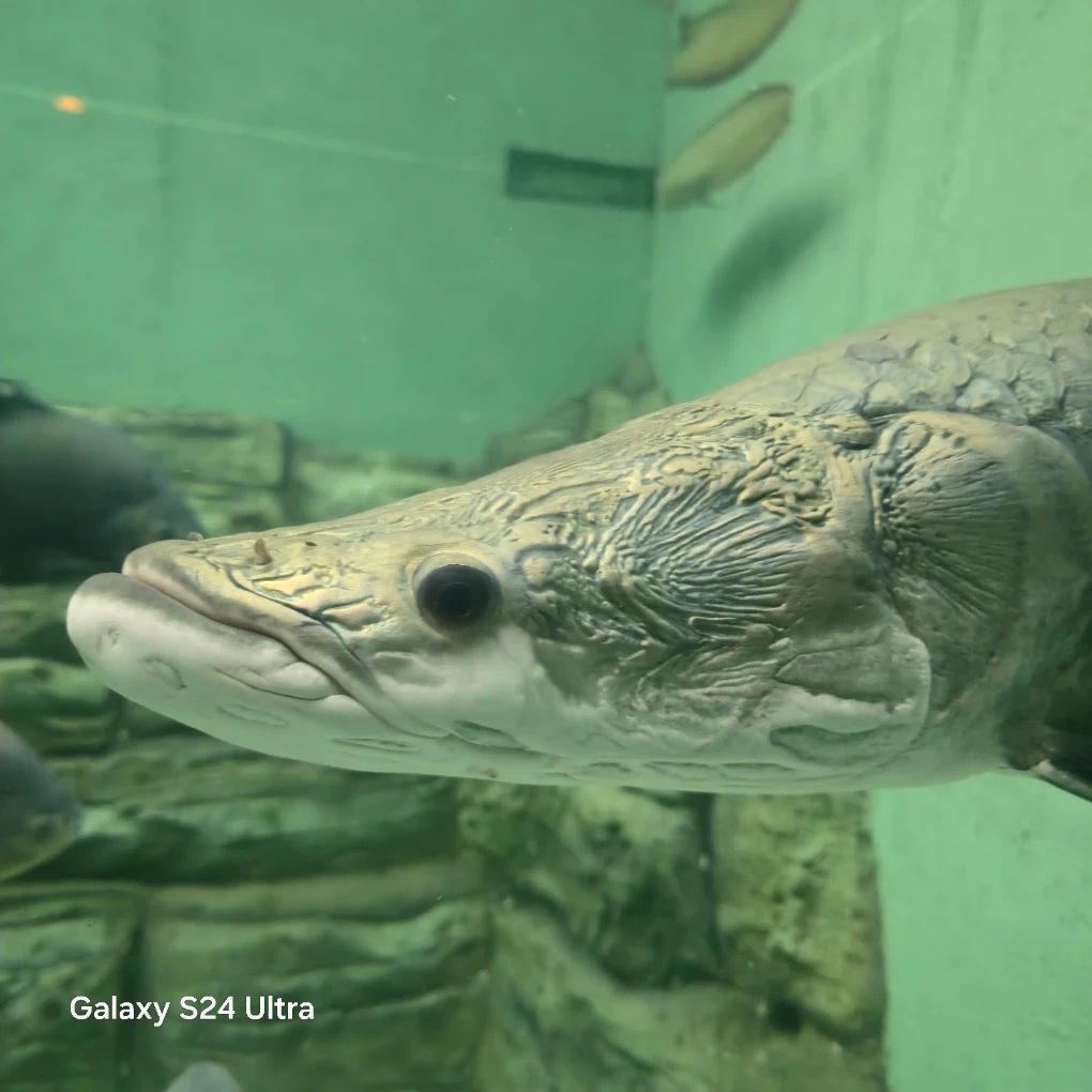 Aquatic Gallery Science City — photo 2